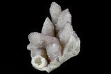 Cactus Quartz (Amethyst) Cluster - South Africa #80013-4
